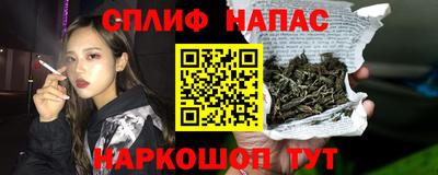 ГАЛЛЮЦИНОГЕННЫЕ ГРИБЫ Камышлов