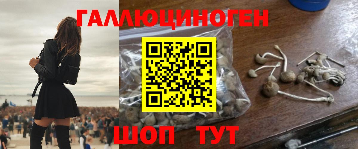 Галлюциногенные грибы прущие грибы Луховицы