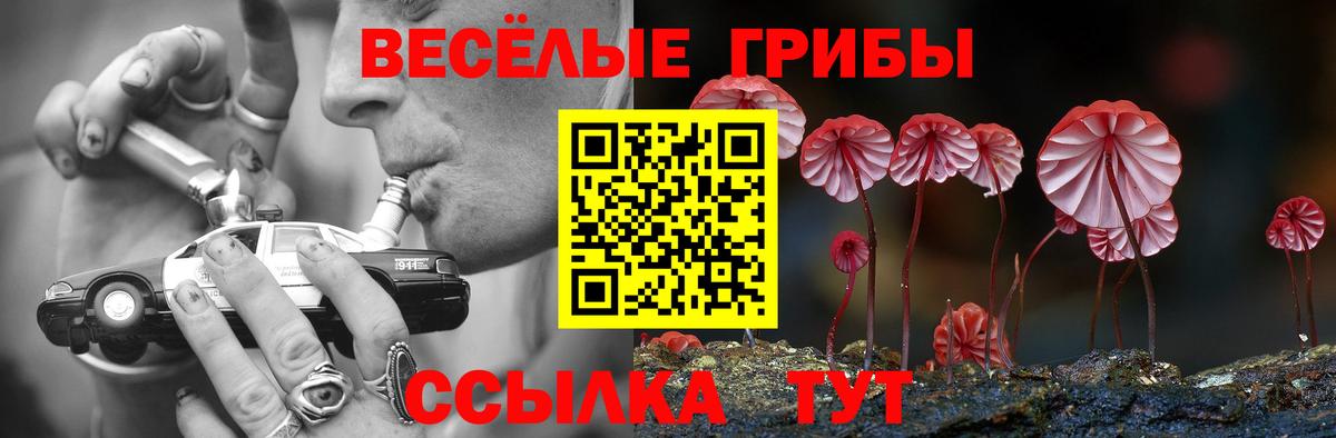 Луховицы  закладка  Вход с VPN  Галлюциногенные грибы GOLDEN TEACHER 